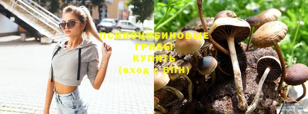 кокс Абдулино