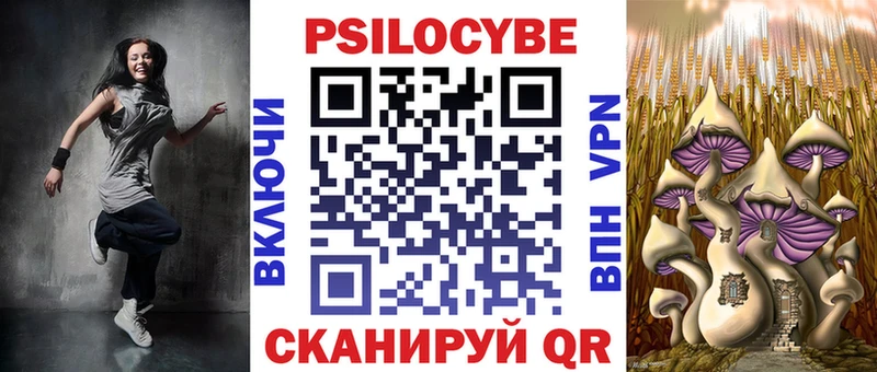 Галлюциногенные грибы Psilocybine cubensis Богородск