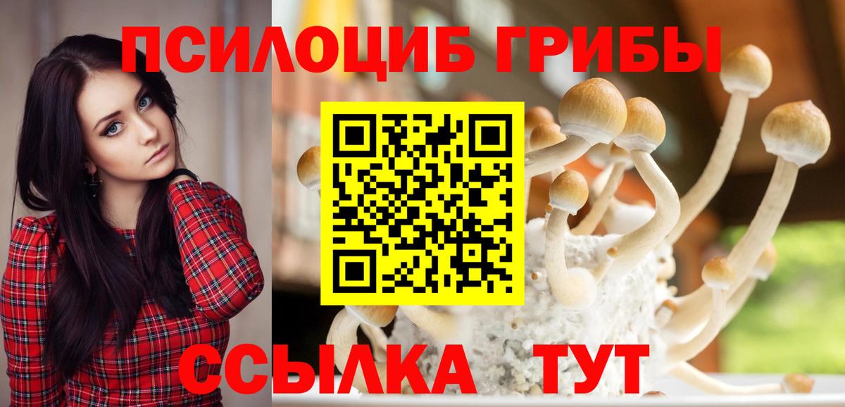 Галлюциногенные грибы мухоморы  Вход с VPN  Богородск 